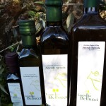 foto nuova bottiglie d'olio